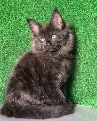 320f2df9-0ea2-477b-aeb5-e2be7c07a9f3