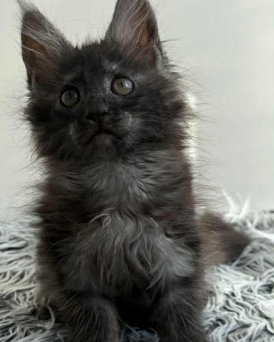 329C5B37-90C6-4428-9418-27A566DD7300