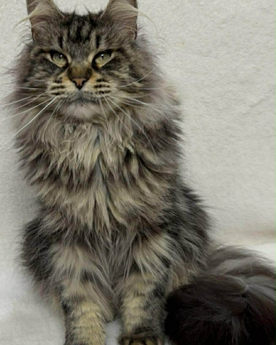 35E087AB-A083-4A1B-B1F3-F48014728CBB