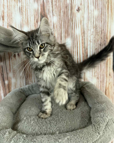 3623EE02-9164-478D-8785-6AEDC8EBF7F7