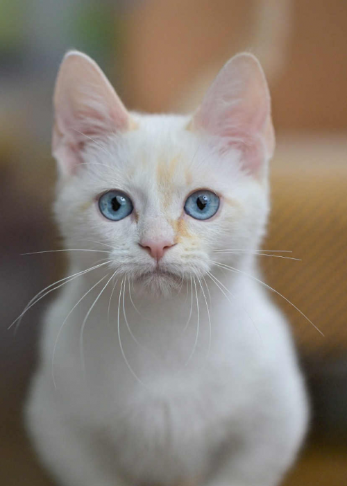 36BD85B1-B96C-4051-B1D9-E108AB86E130