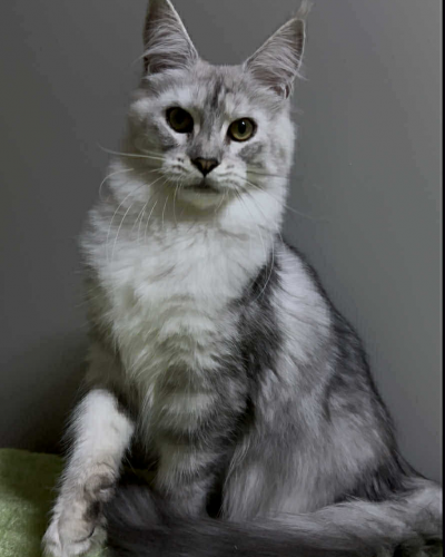 36F9C03B-FFA8-4843-9467-FA4E49CDE84C