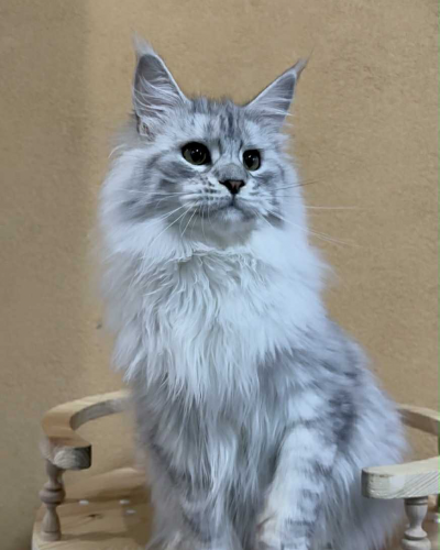 37C7CBD3-901B-48A9-A994-48DDEBDFF76F