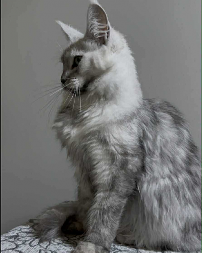 37EEAD12-14B2-4CC9-B271-07CA90B1F95F