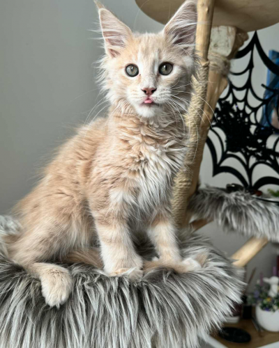 37FBE56D-7C6A-49AA-8CF6-2F8D97553CAF