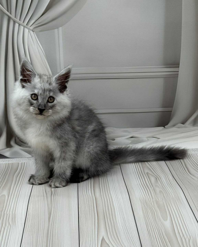 38141C82-B342-44F1-BE26-D7A6454BE907