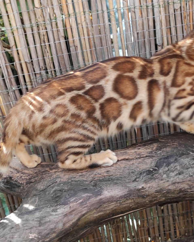 382D8AB5-EED6-4DC7-AD95-F45CEA8B42E9