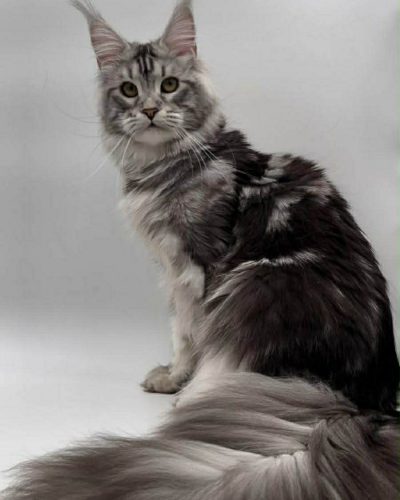 38d2f367-70e6-4220-ba44-f3dd6e74ff09