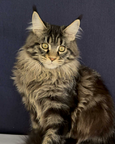 39550F4D-F389-4C69-9C8F-172388C5236D