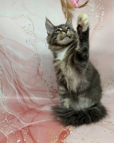 396cf5d0-d279-4d10-9ea6-854848554eb0