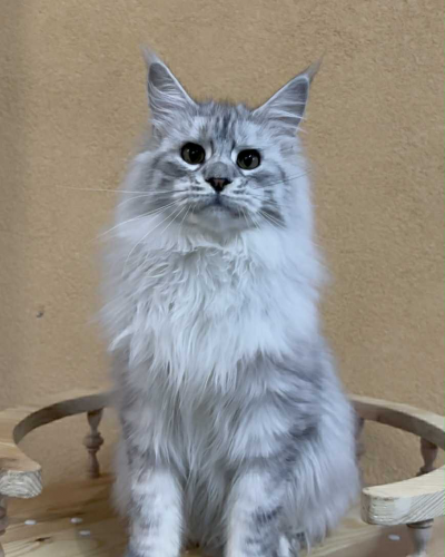 3B88AFCB-0FEC-47F2-A026-A434CC1392E7