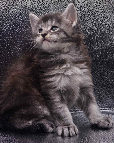 3D39B700-D74F-4B6F-BDE3-847115BB7508