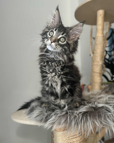 3E249693-9EE8-471C-B282-C99B69B32EBB