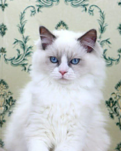 3F3876C3-5962-45D0-A83A-ECDF337A0D6C