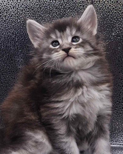 3F7796B0-8640-48F4-B733-BD8779375740