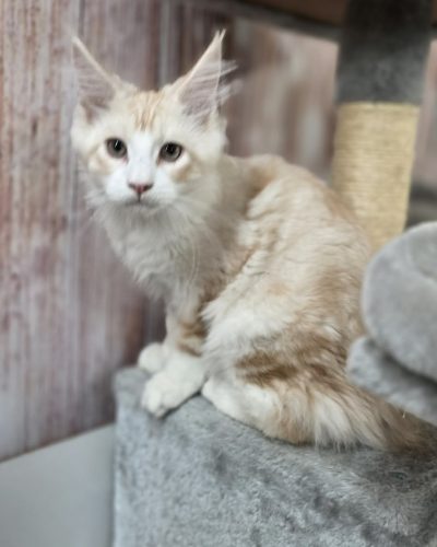 3dbb4eef-9c03-4fbc-b526-9fa1a575cec9