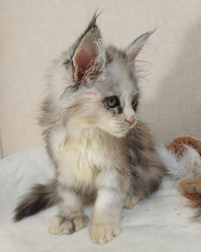 4029632f-200f-4210-859e-91d914af9cc9