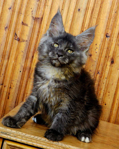 421509EF-AEEB-4D13-8F08-22A60859D177