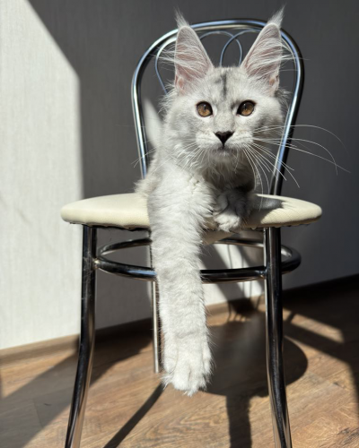 422A91EB-9195-4F98-8F5C-22C5E36875B2