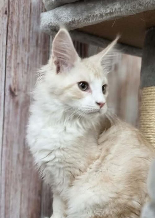 4281d8b1-ab99-4f72-b3b6-d959a7aef758