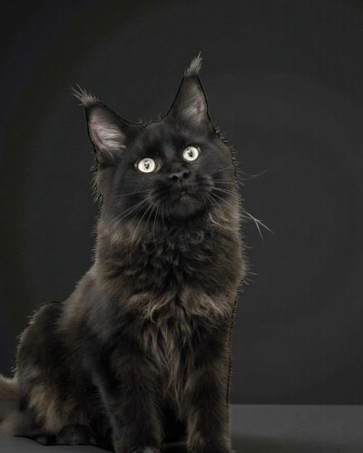 4434c767-fdd3-4e53-b0c3-f269886676b6