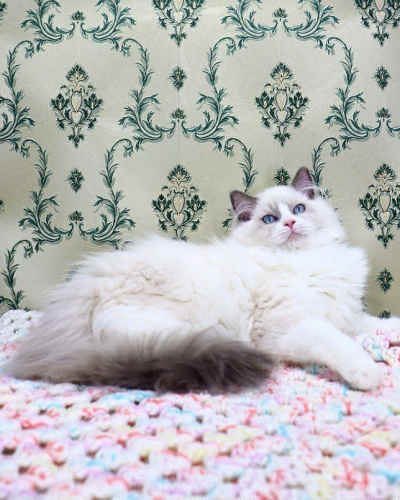 44F80F3E-144A-4BF2-A93F-29B5175EB454