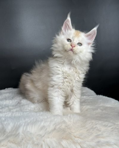 44d6dd45-f047-4aed-998e-8634ec55f7de