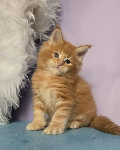 45861514-ed04-49fe-8ca1-bf656888fc59