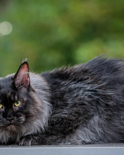 467081B6-3953-4FD1-BBDA-E5B075649FF3