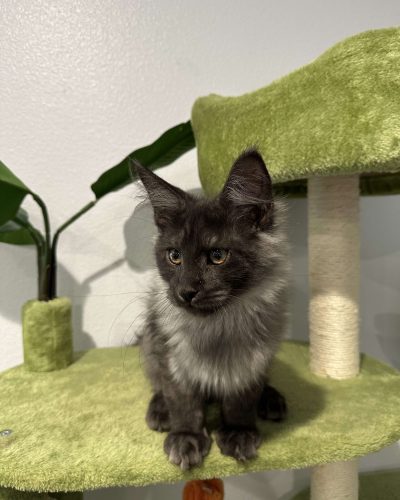 474841380_1181030880046918_505765130458617377_n