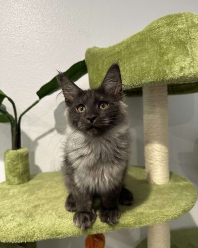 474882333_531660905947481_623437410333812413_n