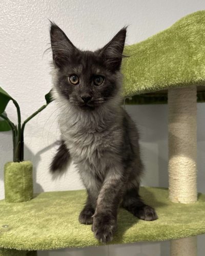 474951739_935480208697266_5921848829194921980_n