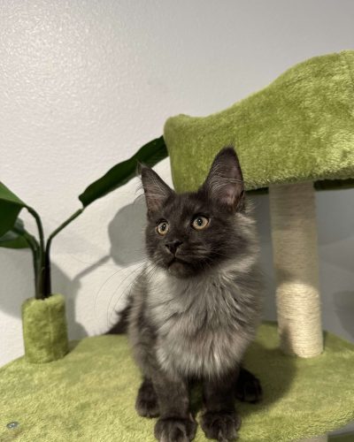 475024473_1141194184384358_7239245533971480927_n