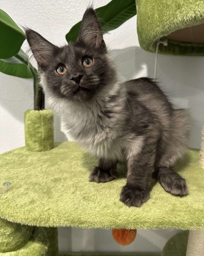 475038210_1268244454471954_3689321119077095790_n