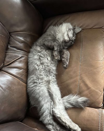 475956972_9350978151607445_8856674674899050201_n