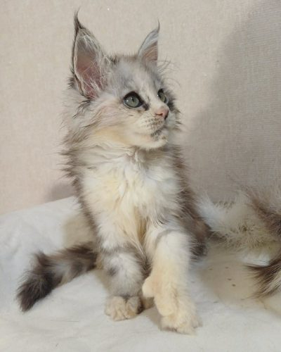 47cb096c-2d02-4b6c-bc1b-b8c2ae39dab3