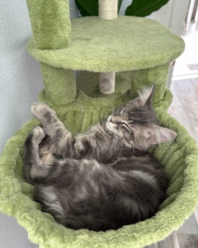 484991806_528440539940893_5032331157908446202_n