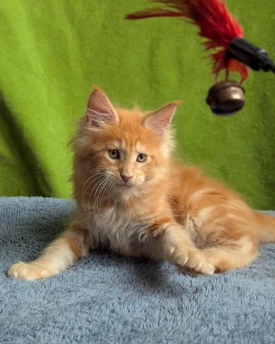 485DFBA5-9808-4C76-9C3E-49A4CCA21607