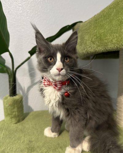 487075636_442563425580106_2586666240229671509_n