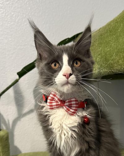 487113897_532288386269854_8126688586795908322_n