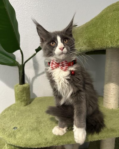 487302547_1858464684692172_5992646041057868510_n