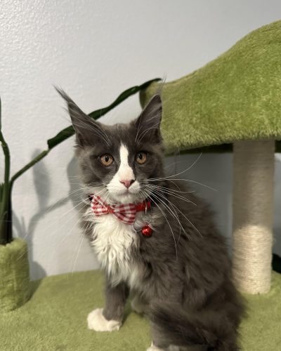 488907765_1392404965229414_5803920438379752264_n