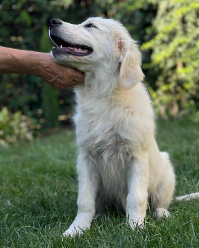 4956BFFC-0AA2-4248-B1B2-CC2F40577869