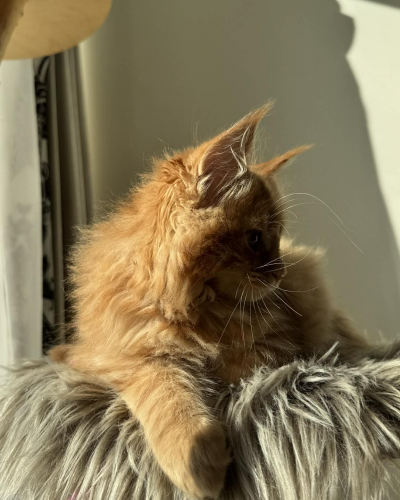 496D03AE-86BE-411A-88E8-CABB775F572D