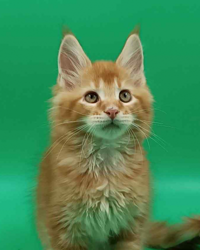 4AF27EE5-34B0-4540-8A03-88236D049079