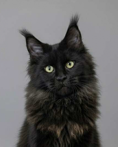 4C81E28D-2110-49CB-81B4-69DDAB7768AF