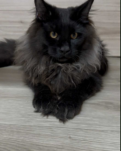 4DDDC331-72A2-46FA-A64D-856912D25310