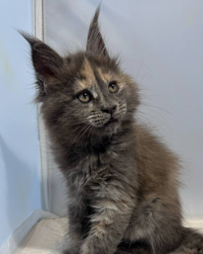 4E06D3FA-F3F4-405F-9DA2-E2E95A31EF2D