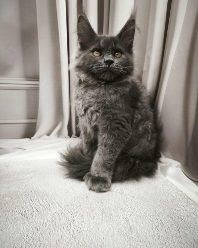 4F0B2534-A6FD-4747-90BF-68A733249004