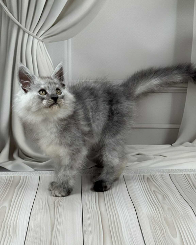 4F278D43-A236-4A32-9247-D0848F20DADA